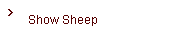 Show Sheep